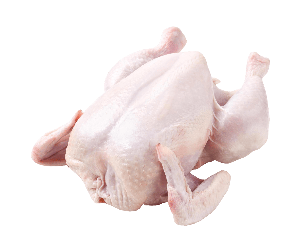 Plain Boiled Chicken